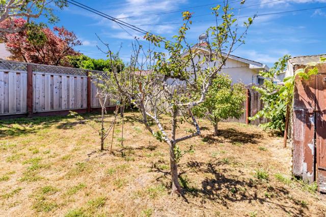 624 Filbert Street, Half Moon Bay CA: https://media.crmls.org/mediaz/17950a18-5da1-4c20-93d0-58278ceb321a.jpg
