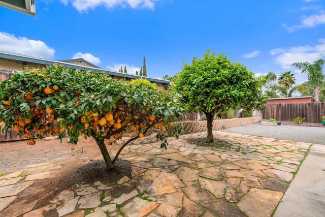 Detail Gallery Image 21 of 27 For 1250 N Ivy St, Escondido,  CA 92026 - 3 Beds | 1/1 Baths