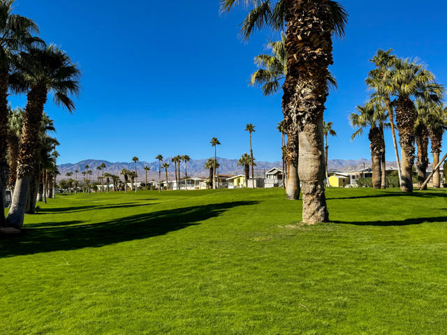 15500 Bubbling Wells Road, Desert Hot Springs CA: https://media.crmls.org/mediaz/17990f6b-5627-42e2-8231-73ec4204e61e.jpg
