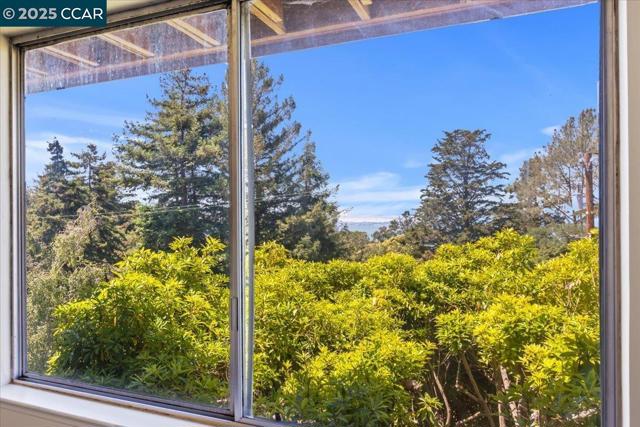51 Rincon Rd, Kensington CA: https://media.crmls.org/mediaz/17a37740-d565-48d2-a8f5-708677f294ca.jpg