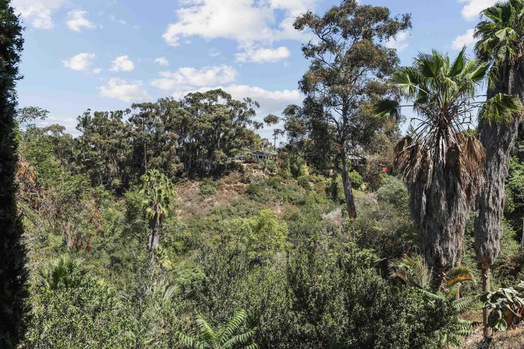 MLS #250039279SD image #55