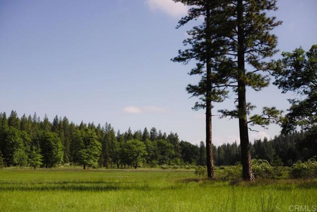 Detail Gallery Image 4 of 23 For 29276 Bullskin Ridge Rd, Oak Run,  CA 96069 - 3 Beds | 2 Baths