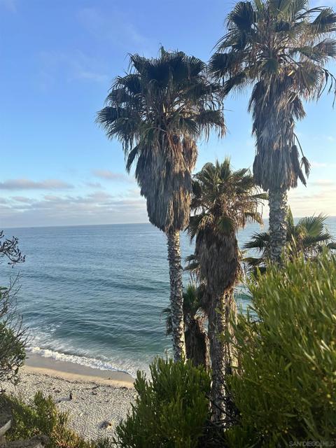 MLS #250037304SD image #21