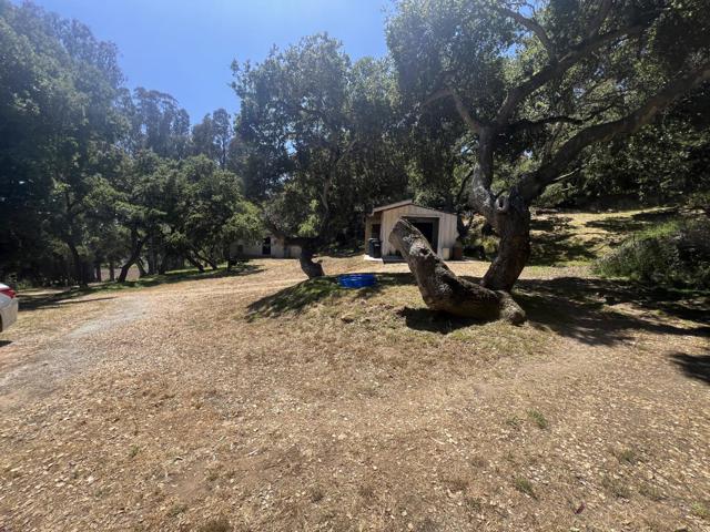 17160 Wilson Way, Royal Oaks CA: https://media.crmls.org/mediaz/17f35b1c-27ed-4a17-8648-1a5d798f4e0a.jpg