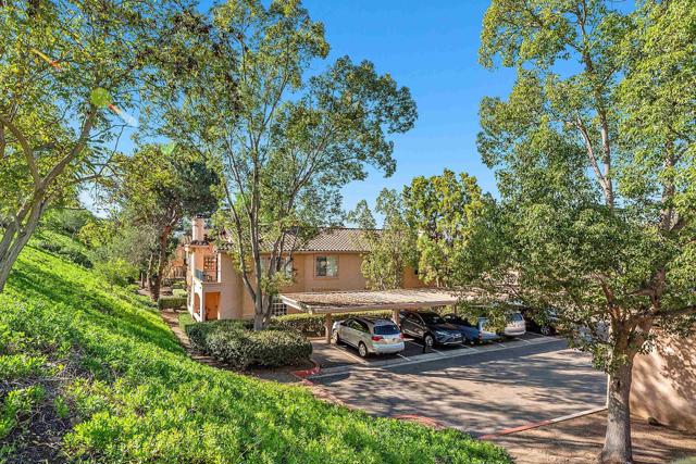 Front Image Thumbnail for CRNDP2600031