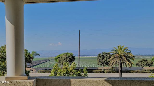 Pastoral & Mountain Views