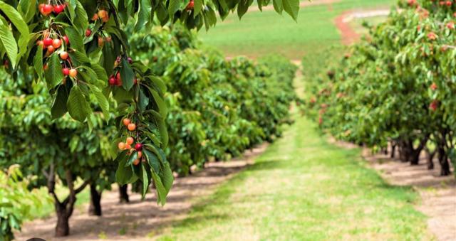 0 APN 841-38-029, Gilroy CA: https://media.crmls.org/mediaz/181158fe-f659-48ce-a75d-57a125a620d6.jpg