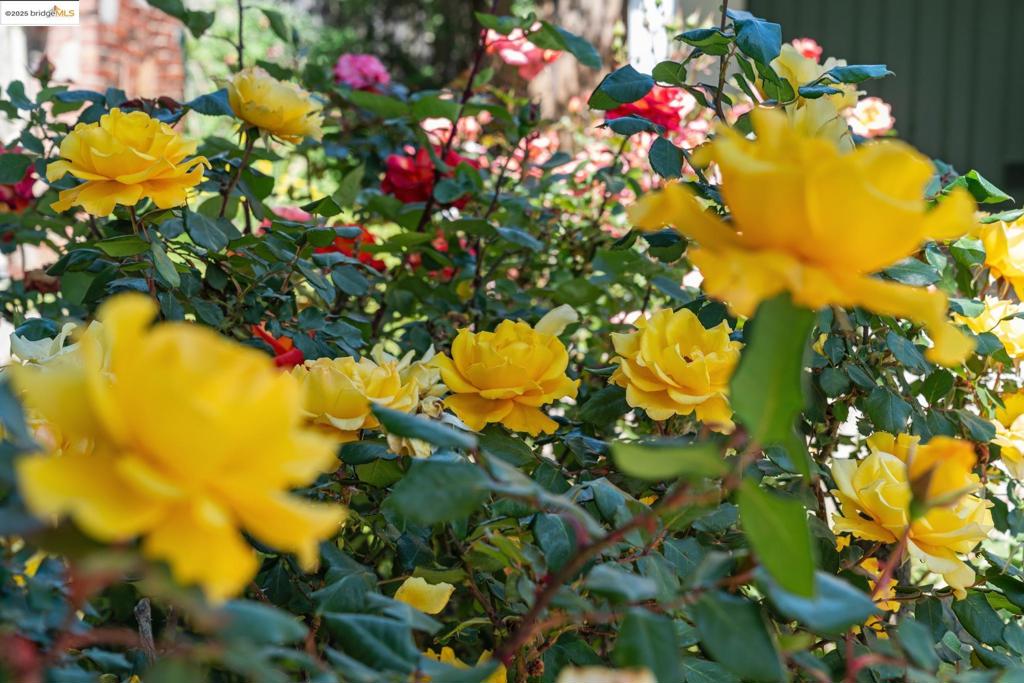 https://media.crmls.org/mediaz/1819d3fe-3777-4bb4-bb1d-754eb5a49154.jpg?preset=X-Large