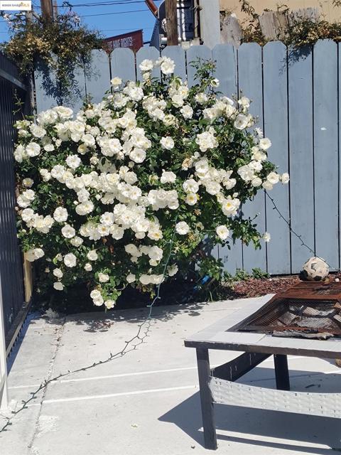 3532 San Leandro St, Oakland CA: https://media.crmls.org/mediaz/1821a0ca-943e-4f30-bb5d-1aef94a53bf1.jpg