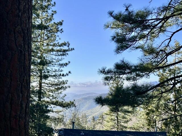 0 Green Craig, Idyllwild CA: https://media.crmls.org/mediaz/1824ac5a-e558-4ef0-acc3-d207c8c73c6d.jpg