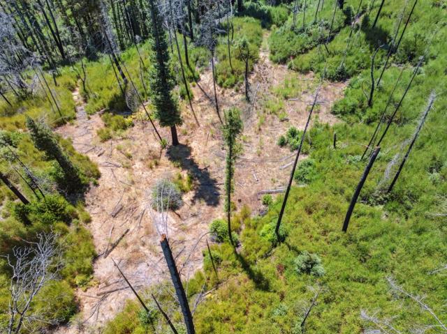 0 & 06 Branson, Boulder Creek CA: https://media.crmls.org/mediaz/1825529e-a17c-460b-809a-f13eb1304e0b.jpg