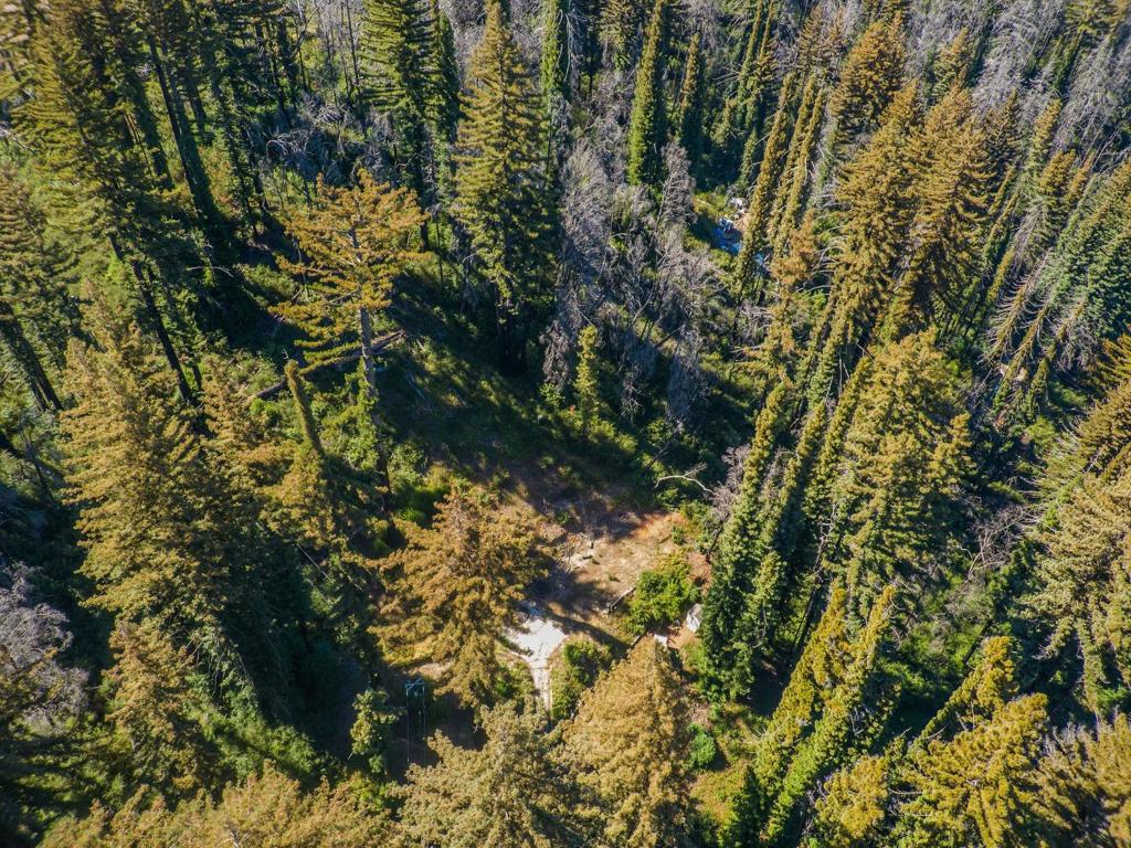 MLS #ML82019121 image #27