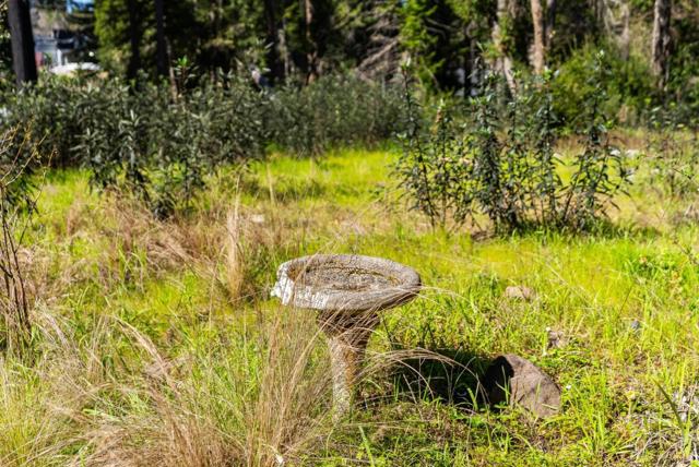 15995 Big Basin Way, Boulder Creek CA: https://media.crmls.org/mediaz/1826139e-9adc-4d1e-a83d-3af270553ea8.jpg