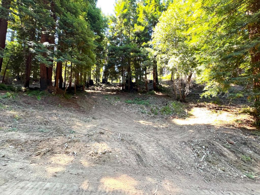 MLS #ML81973209 image #40