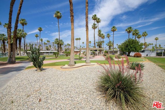 395 Wolf Lane, Cathedral City CA: https://media.crmls.org/mediaz/18306f05-ff83-4a38-b1b0-e01e14587355.jpg