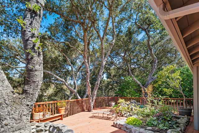 11605 McCarthy Road, Carmel Valley CA: https://media.crmls.org/mediaz/18591343-b846-4032-9e5a-8114241186f4.jpg