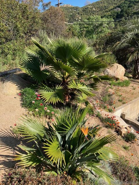 1088 Deer Springs Rd, San Marcos CA: https://media.crmls.org/mediaz/185f58c5-a0fe-4386-975b-f47424a8a120.jpg