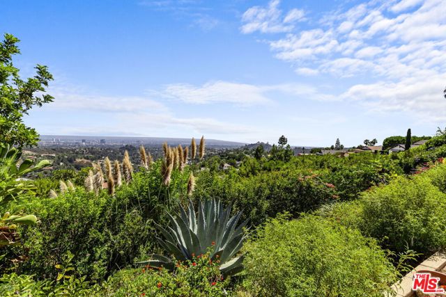 Drew Fenton | 2673 Cordelia Road Los Angeles CA | MLS: 7395738 Drew Fenton | 2673 Cordelia Road Los Angeles CA | MLS: 7395738