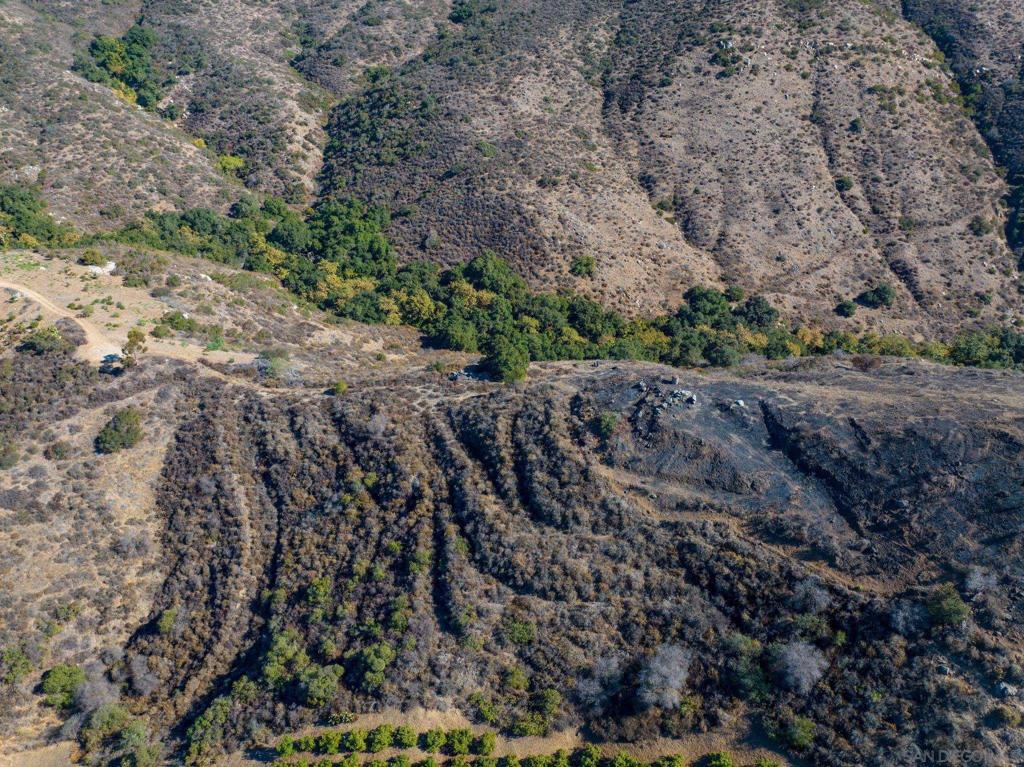 MLS #250022588SD img 4