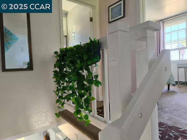 13 Werden St, Vallejo CA: https://media.crmls.org/mediaz/1884d6fb-345f-4141-a262-51392aa6e64b.jpg