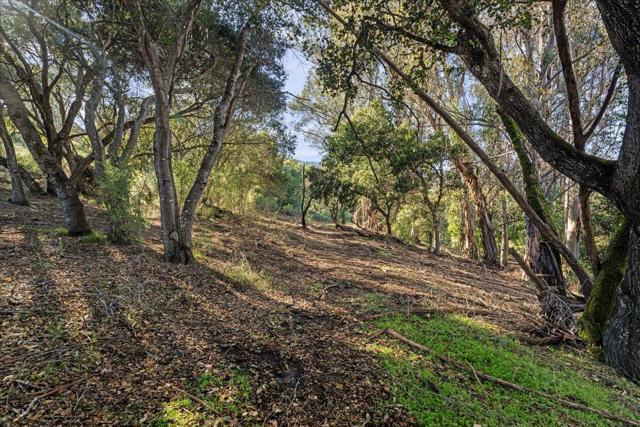 0 Old Santa Cruz Highway, Los Gatos CA: https://media.crmls.org/mediaz/188d1c82-3ae8-4395-bb7b-dbd287da98be.jpg