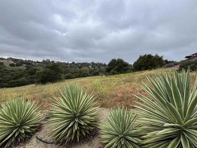 2566 Los Cerritos Ln, Fallbrook CA: https://media.crmls.org/mediaz/1895db83-ff09-4b59-8338-12bf05074e9d.jpg