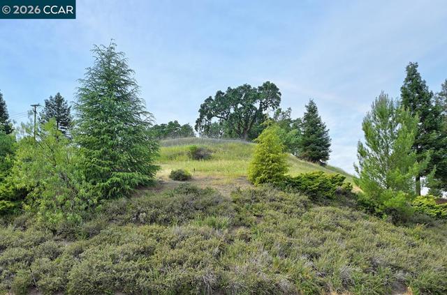 1301 Leisure Ln, Walnut Creek CA: https://media.crmls.org/mediaz/189f08ee-ce24-4465-9851-907f3944312d.jpg