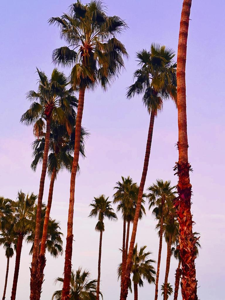 https://media.crmls.org/mediaz/18aa09f0-c65b-40bc-95ab-ad568a1625f5.jpg?preset=X-Large