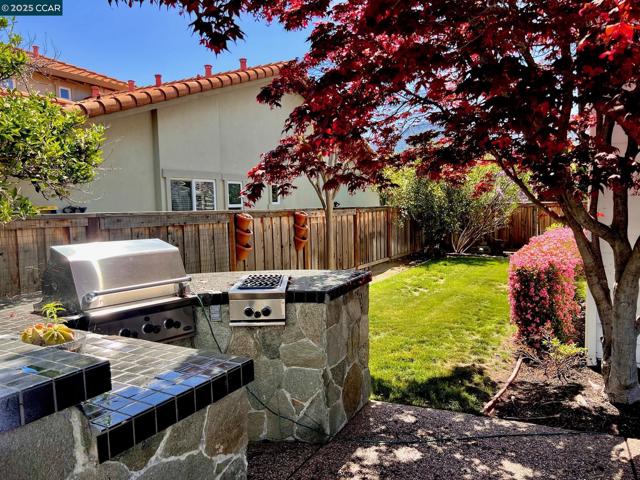 1161 Torrey Pines Place, Clayton CA: https://media.crmls.org/mediaz/18aa913a-23c0-4dca-bb2f-d2db806a8da7.jpg