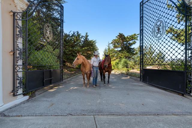 112 Holiday Drive, La Selva Beach CA: https://media.crmls.org/mediaz/18aeb297-de3a-4d0d-ab77-af0998e7943a.jpg