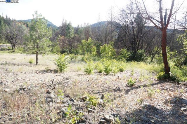 101 River Acres, Junction City CA: https://media.crmls.org/mediaz/18b369e0-88e4-460f-8be5-928ac83f0c5d.jpg