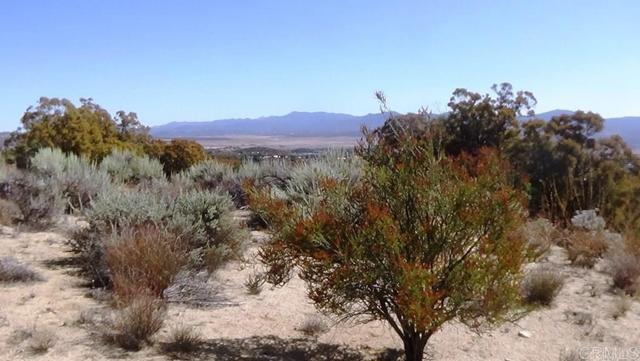 Detail Gallery Image 22 of 41 For 37245 Old Forest Rd, Anza,  CA 92539 - – Beds | – Baths