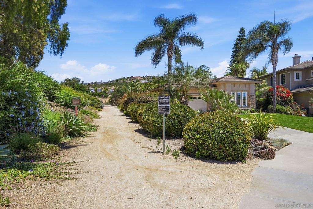 6154 Paseo Palero - photo 15