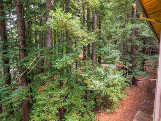 325 Woodland Drive, Scotts Valley CA: https://media.crmls.org/mediaz/18d6203d-1114-4493-b772-4cb136edec83.jpg