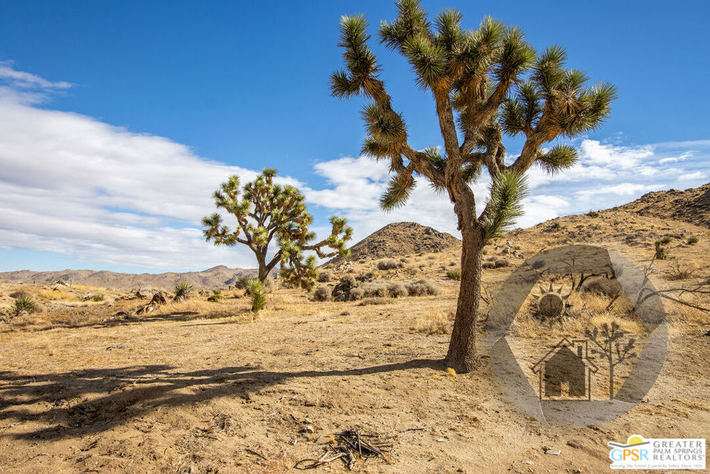 MLS #25629725PS image #58