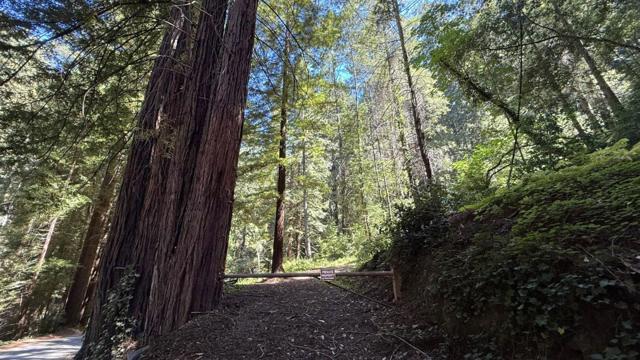 15645 Stetson Road, Los Gatos CA: https://media.crmls.org/mediaz/18dcbc13-bc36-48a7-8786-180f5b047690.jpg