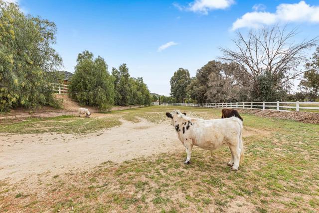 Detail Gallery Image 54 of 75 For 22053 Highland St, Wildomar,  CA 92595 - 5 Beds | 3/2 Baths
