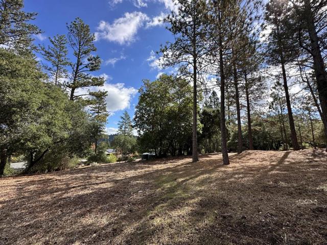 7415 Hihn Road, Ben Lomond CA: https://media.crmls.org/mediaz/18e6d635-bba8-498e-b7cf-60f75327e117.jpg