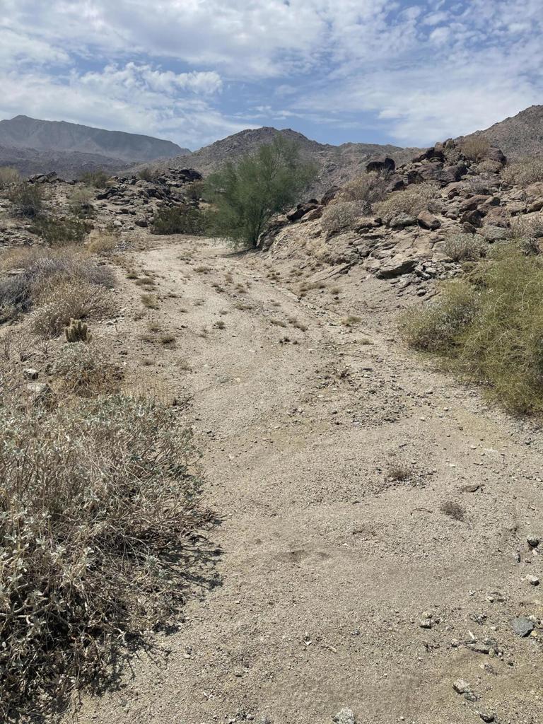 MLS #219138926DA image #4