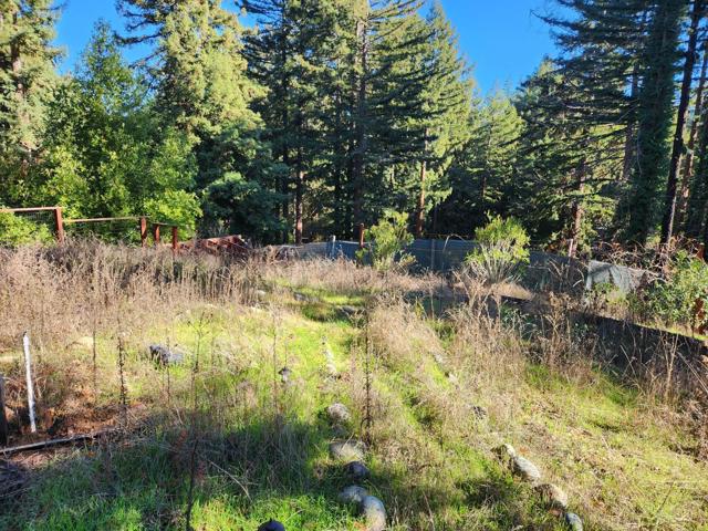 894 Stewart Street, Boulder Creek CA: https://media.crmls.org/mediaz/18fc0680-5f48-4341-b0e5-960e69cd6939.jpg