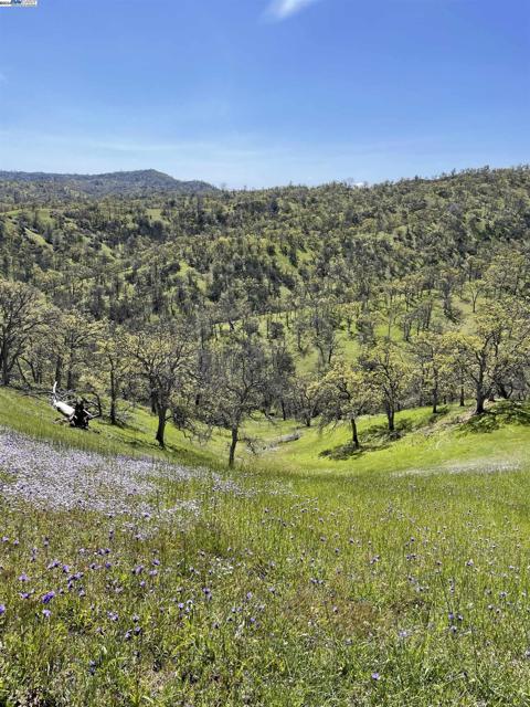 Details for 0 Sand Creek Road, Arbuckle, CA 95912