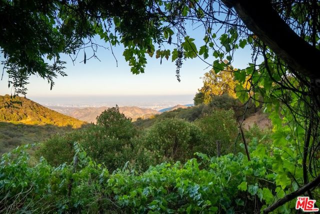 21965 Saddle Peak Road, Topanga CA: https://media.crmls.org/mediaz/19012076-fd68-4c47-9961-36d65965c1bc.jpg