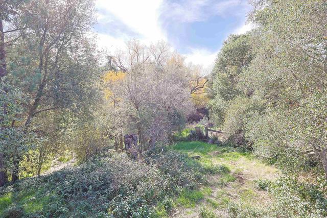 Detail Gallery Image 61 of 74 For 25077 Manzanita Lane, Descanso,  CA 91916 - 2 Beds | 2 Baths