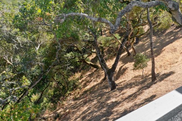 1501 De Anza Boulevard, San Mateo CA: https://media.crmls.org/mediaz/190ab6ad-6337-45d5-aca0-64348539ba86.jpg