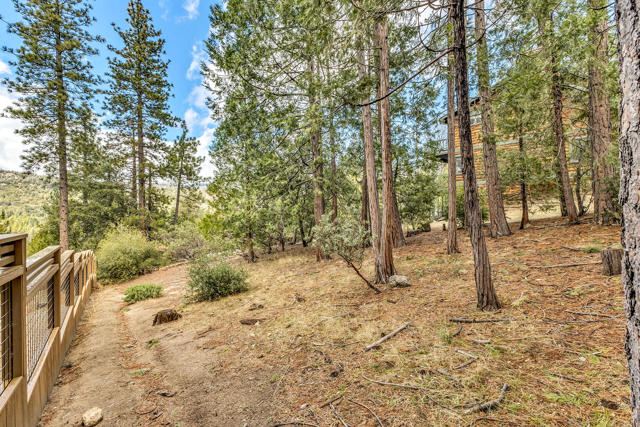 53184 Double View Drive, Idyllwild CA: https://media.crmls.org/mediaz/191272fa-401c-40bd-a89e-025dfde23028.jpg