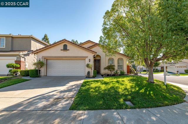 10 Narcissus Ct, Danville CA: https://media.crmls.org/mediaz/191eda01-bb0a-4177-82ee-dcbd9e3a6138.jpg