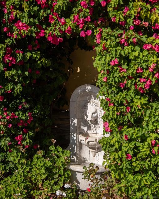 459 Flores De Oro, Rancho Santa Fe CA: https://media.crmls.org/mediaz/192434ee-2738-49ed-b81e-25243707d276.jpg