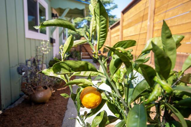 311 Mar Vista Avenue, Aptos CA: https://media.crmls.org/mediaz/19261186-b5c6-4e52-90c4-ffcab845169a.jpg