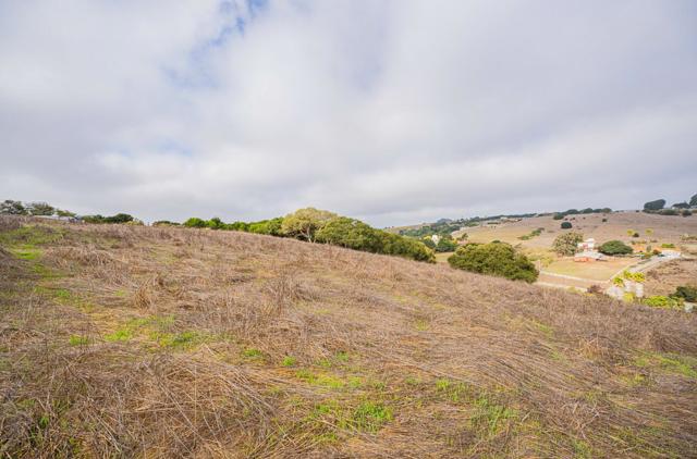 15108 Castroville Boulevard, Castroville CA: https://media.crmls.org/mediaz/19349303-d2e0-42c8-a9ca-e66e783457b6.jpg