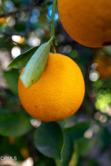 Detail Gallery Image 18 of 21 For 975 W Telegraph Rd #10,  Santa Paula,  CA 93060 - 2 Beds | 2 Baths